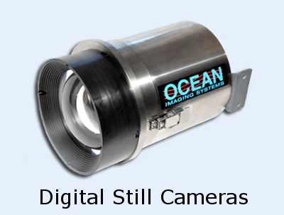 Digital Still Cameras